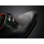 Moon 'The Loon' - Diamond Punch Gibson